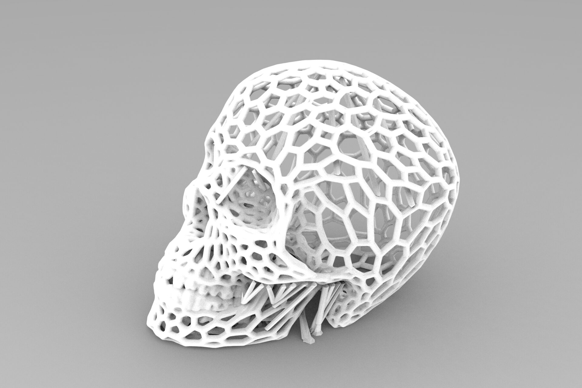voronoi-skull