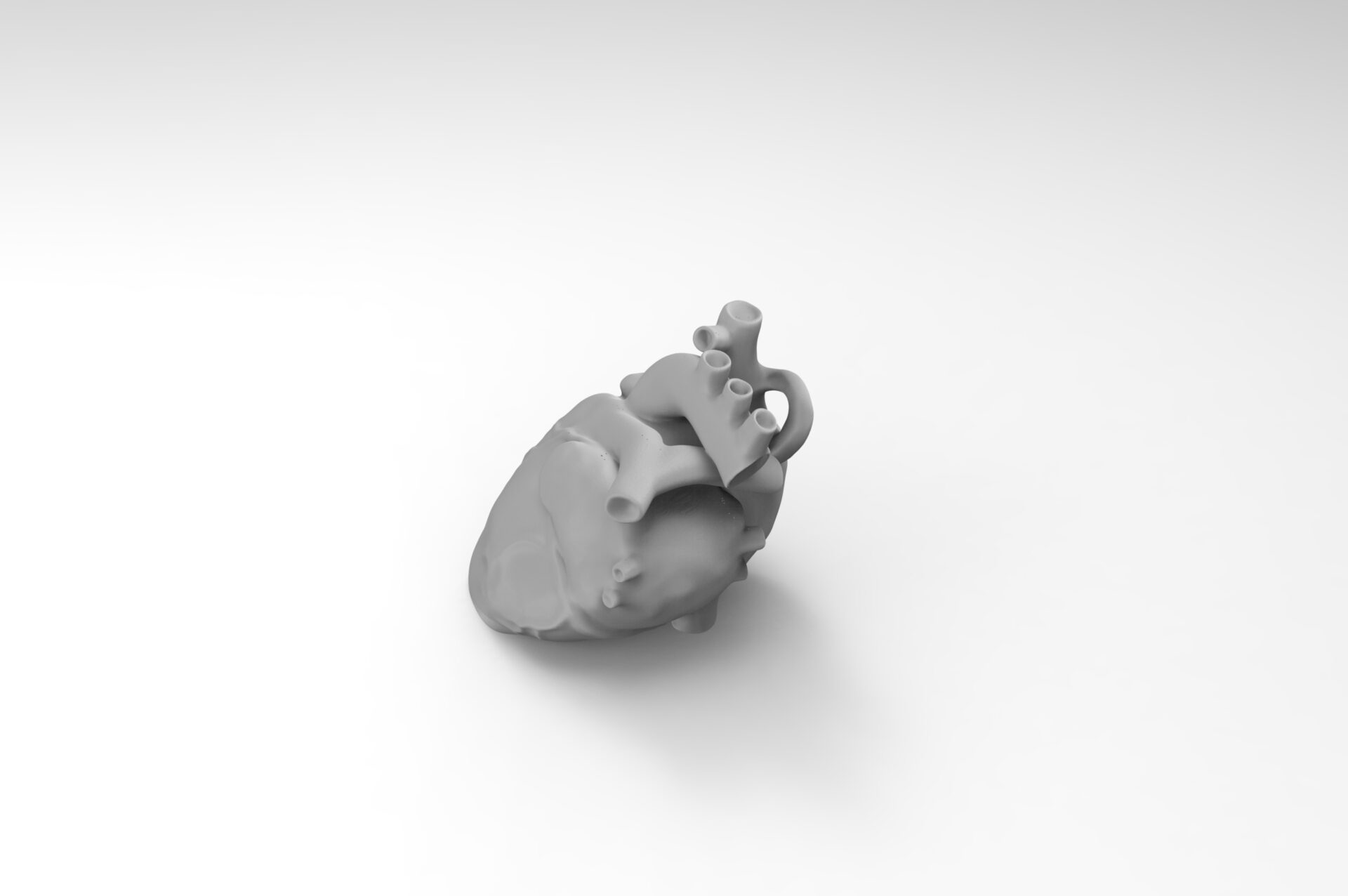 anatomical-heart-shaped-keychain